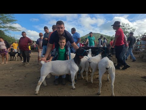 Feira da vila do jerimum hoje 26/04/2026 taquaritinga do Norte-PE a melhor da região 