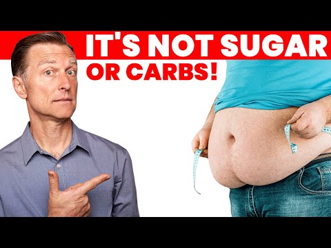 The #1 Thing that STOPS You From Losing Belly Fat: Not Sugar or Carbs