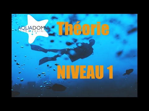 Cours plongée théorie niveau 1 GRATUIT, formation plongée N1 complète en ligne - Tuto plongée