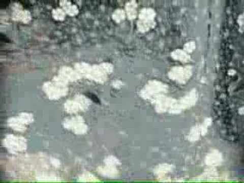 UNDER BYEN "Af Samme Stof Som Stof" (fra albummet "Af Samme Stof Som Stof")