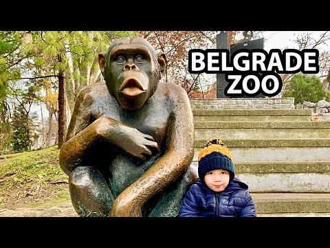 Belgrade Zoo in December 2020 | Serbia