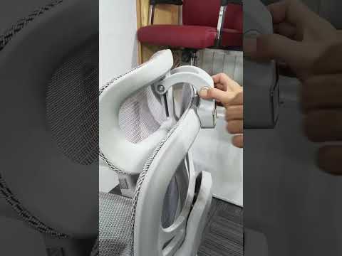 Ghế Công Thái Học Cao Cấp Hỗ Trợ Cột Sống Và Thắt Lưng - GX100