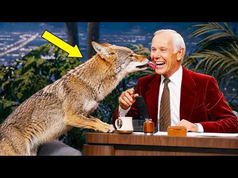The FUNNIEST Animals Ever On Johnny Carson Show