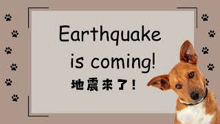 2025/3/19 英語日 Earthquake is coming!