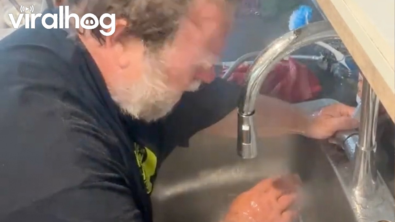 Hammered Handyman Kitchen Tap Replacement Gone Wrong || ViralHog