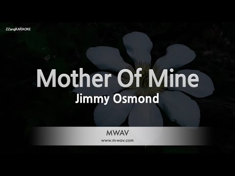 Jimmy Osmond - Mother Of Mine (Melody) (Karaoke Version)
