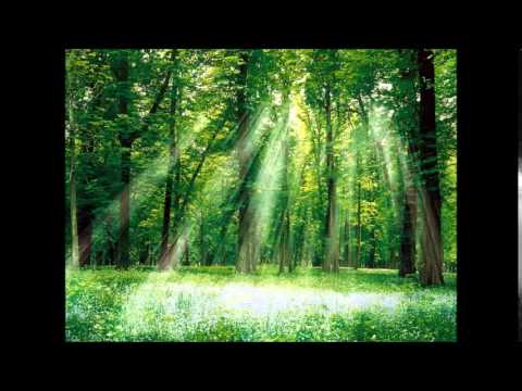 Tritonal - Satellite (feat. Jonathan Mendelsohn)