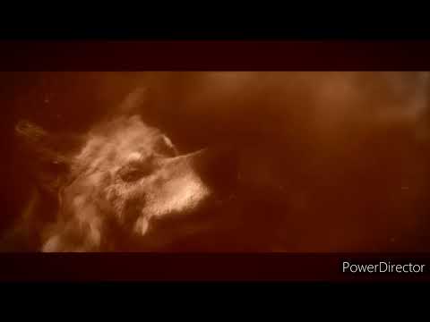 alone a wolf's winter underwater scene red