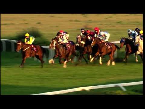 29/10/2023 - corsa 5 - premio LYDIA TESIO - TROFEO EL KABIR