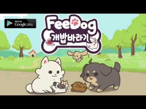 FeeDog - Raising Dog video