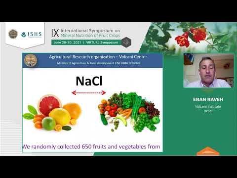 The long-term effects of reclaimed irrigation water on the Israeli citrus industry | Eran Raveh