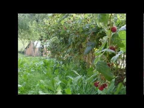 CATIASU,ASEZARE DE POVESTE 3