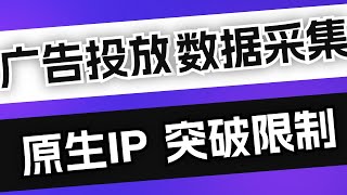 🌍TikTok、跨境人必看！🔍太多人还在用IPinfo？试下Scamalytics💡一招测出最干净的住宅IP | B2Proxy实测教程✨