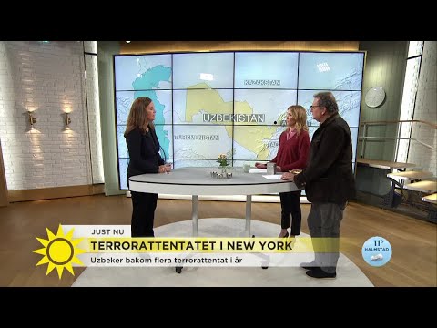 Flera terrorister från Uzbekistan – "man har kokat regimmotståndare levande" - Nyhetsmorgon (TV