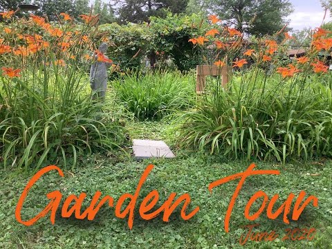 Garden Tour June 2020 - Our first summer in the new home - Growing our own food - Flowers Galore