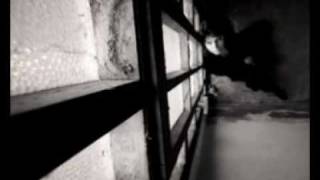 MIDGE URE ::: I See Hope In The Morning Light