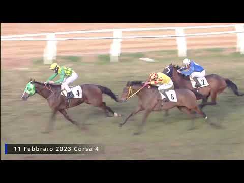 Galoppo corse del 11 FEB 2023