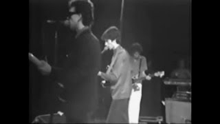 The Monochrome Set - Love Goes Down The Drain (M80 Concert Live 1979)