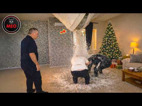 Moments when Thing Went Wrong (P158) | 2025 Idiots at Work & Instant Regret Fails Compilation