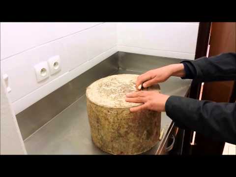 download lagu mp3 mp4 Montgomery Ogleshield, download lagu Montgomery Ogleshield gratis, unduh video klip Montgomery Ogleshield