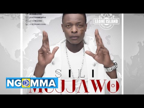 SILI MUJJAWO: JOSE CHAMELEONE (2017)