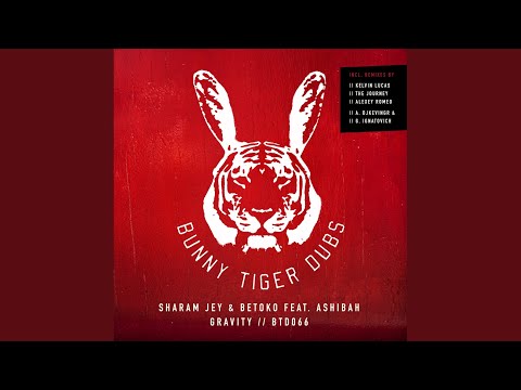 Gravity (Original Mix)