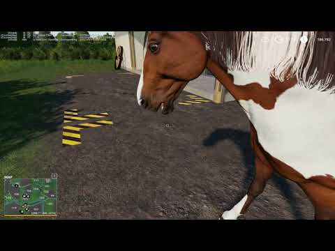 FS19|Chellington Valley|PT8 Horse Breeding?