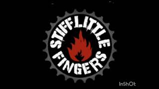 Stiff Little Fingers (My Dark places)