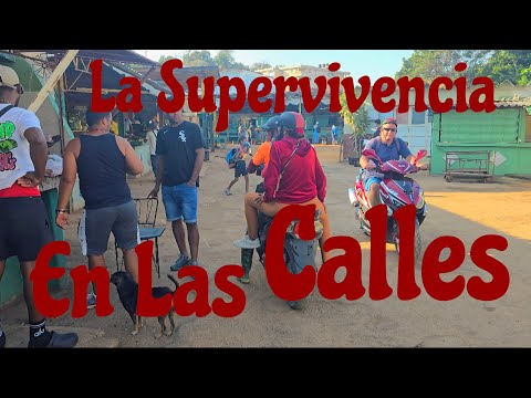 Caminando,Regla Hacia La Lancha,Para  crusar a La Habana(La Vista de la Bahía)