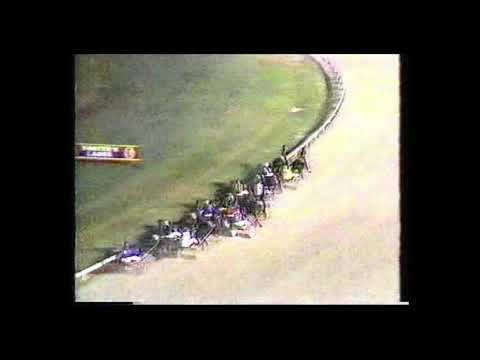 1986 Inter Dominion Final - Village Kid