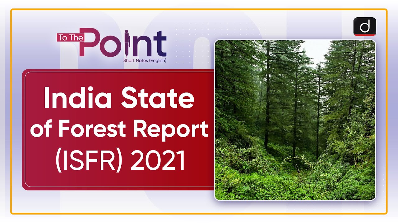 Video analysis of forest cover changes and state-wise trends in India