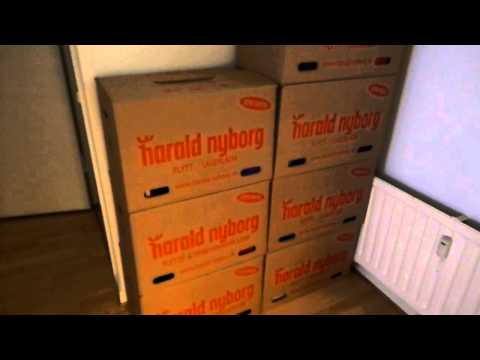 MongoTV_013 - Søndags Hilsen