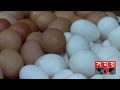 মাছ-মাংসের আকাশচুম্বী দামের পাশাপাশি বেড়েছে ডিমের দামও! | Egg Price Hike | Broiler Egg | Somoy TV