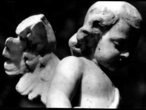 Thumbnail for Angels Long to Look Into These Things video