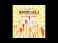 Shawn Lee's Ping Pong Orchestra - Monterey Jack, T's Theme