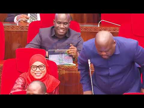 VITONGOJI 9000 KUSAMBAZIWA UMEME MWAKA  2025/2026