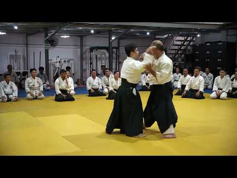 2023 HAF Aikido Seminar - Shihan Etsuji Horii - Yokomen uchi ikkyo 3
