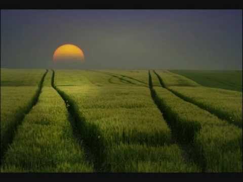 A song using Luftrum Ambient by Camel Audio