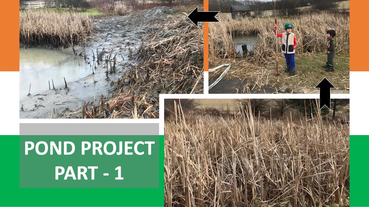 FIRST BIG PROJECT IN THE NEW HOUSE! POND REPAIR PART-1