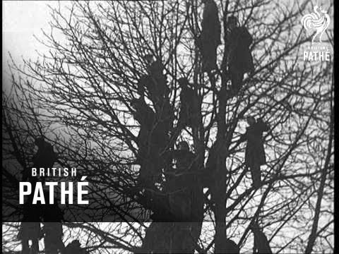 British Pathé
