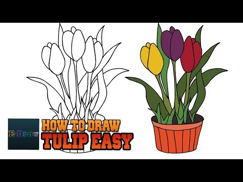 How to Draw a Tulip Easy Realistic | Tulip In A Pot - Plant A Flower Day Flower Tutorial
