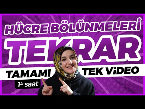 Hücre Bölünmeleri