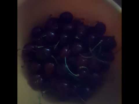 cireșe. cherries