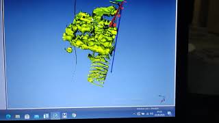 gradyometre veya manyetometre gibi yer altı görüntüleme cihazları ile voxler de basitçe analiz