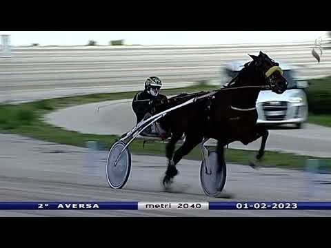 Aversa trotto 1 Febbraio 2023 - 2° Corsa