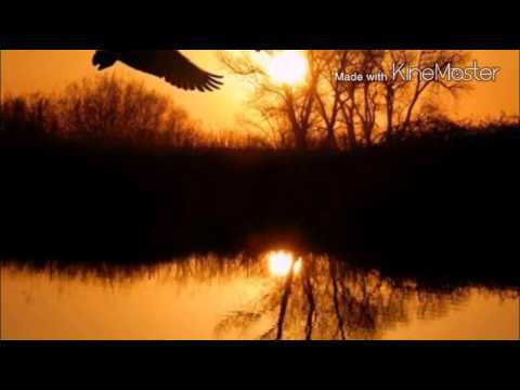 Шарип Умханов - Luna tu