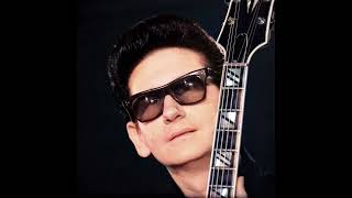 I Don't Really Want You  -  Roy Orbison