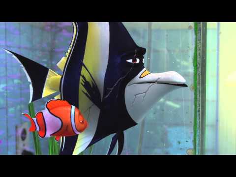 Le Monde de Nemo 3D - Extrait "Gill et Nemo" VF