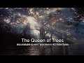 Documentary Nature - The Queen of Trees