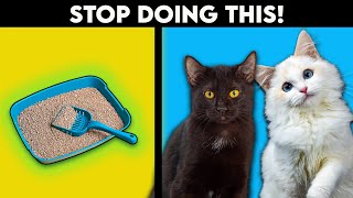 Why is Your Cat Peeing Outside The Litter Box? *Easy Fix*
